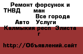 Ремонт форсунок и ТНВД Man (ман) TGA, TGL, TGS, TGM, TGX - Все города Авто » Услуги   . Калмыкия респ.,Элиста г.